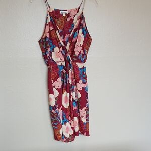 Monteau Red and Blue Smocked Sundress Size L.